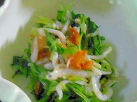 しらすと水菜の和え物 レシピ 作り方 By Chaachan6066 楽天レシピ しらすと水菜の和え物 レシピ 作り方 By Chaachan6066 楽天レシピ